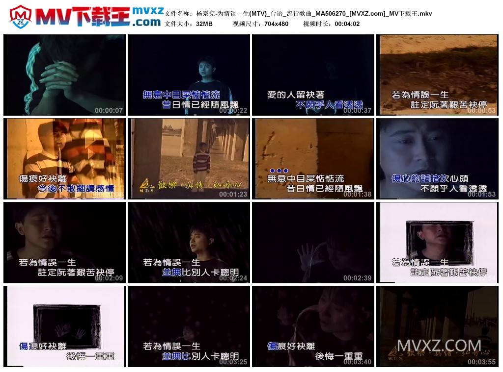 杨宗宪-为情误一生(MTV)_台语_流行歌曲_MA506270